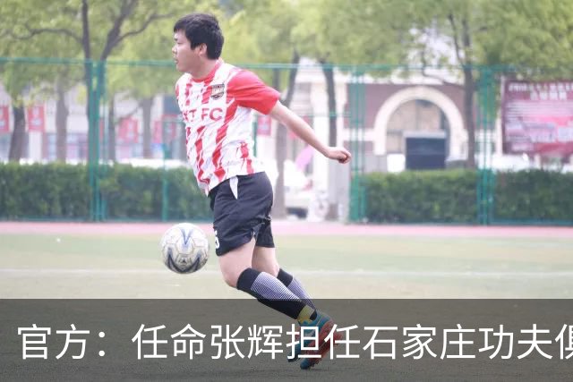 官方：任命张辉担任石家庄功夫俱乐部总经理，袁野担任副总经理
